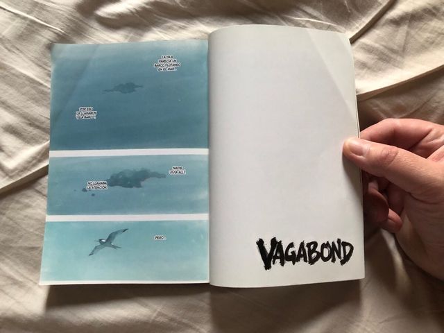 Vagabond 33 (Spanish Edition)