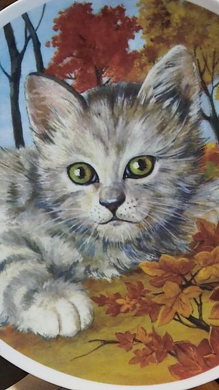 Piatto decorativo da collezione con gatto