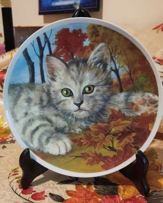 Piatto decorativo da collezione con gatto