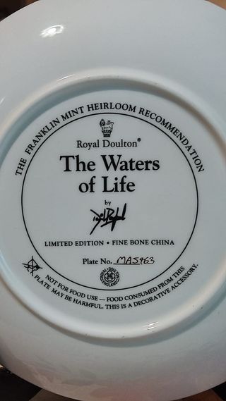 Piatto Royal Doulton in porcellana da collezione.