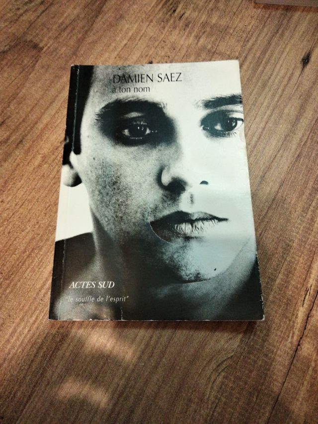 À ton nom, Damien Saez