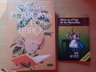 LOTE DOS NOVELAS