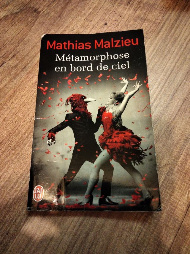 La métamorphose en bord de ciel