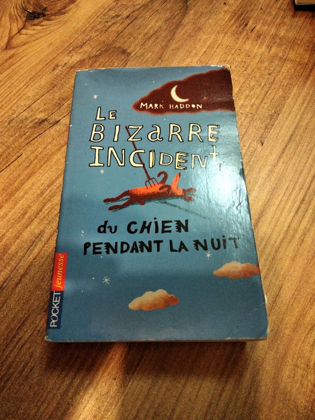 Le bizarre incident du chien pendant la