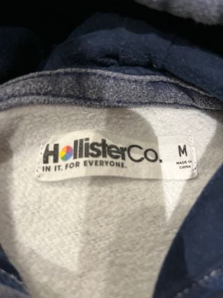 Sudadera HOLLISTER
