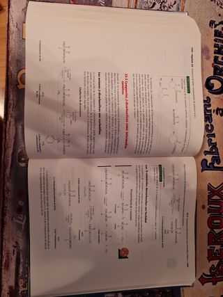 *QUIMICA ORGANICA, 3/ED.: ORGANIC CHEMISTRY 3/ED. (Spanish Edition)