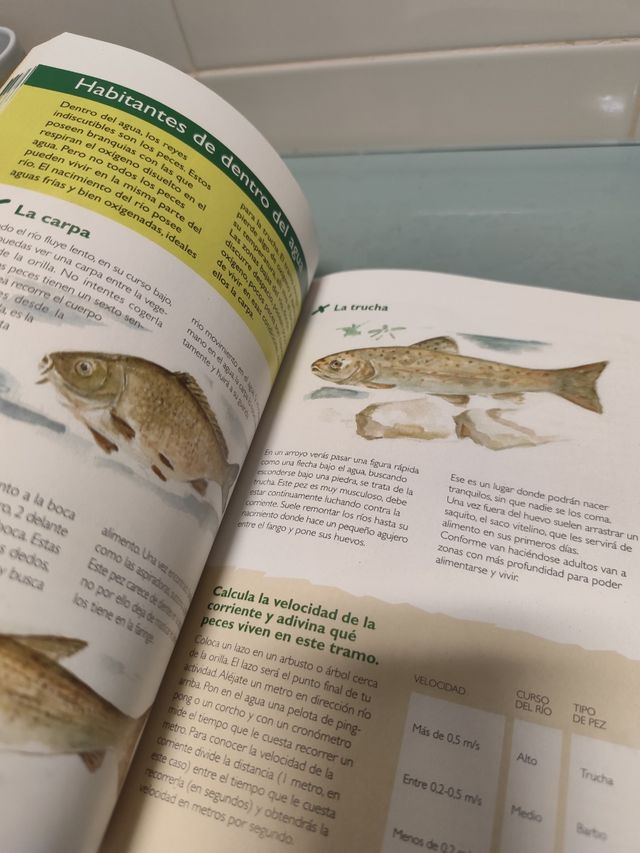 Libro naturaleza Español y Euskera