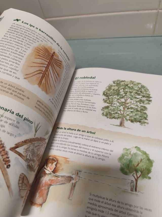Libro naturaleza Español y Euskera