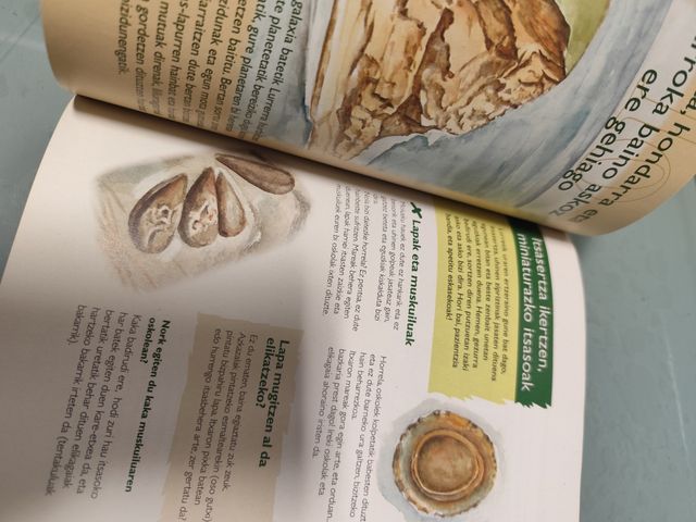 Libro naturaleza Español y Euskera