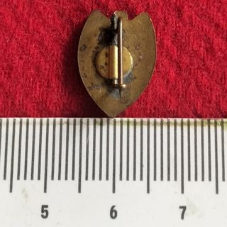 Antigua Insignia Valencia Fútbol Club