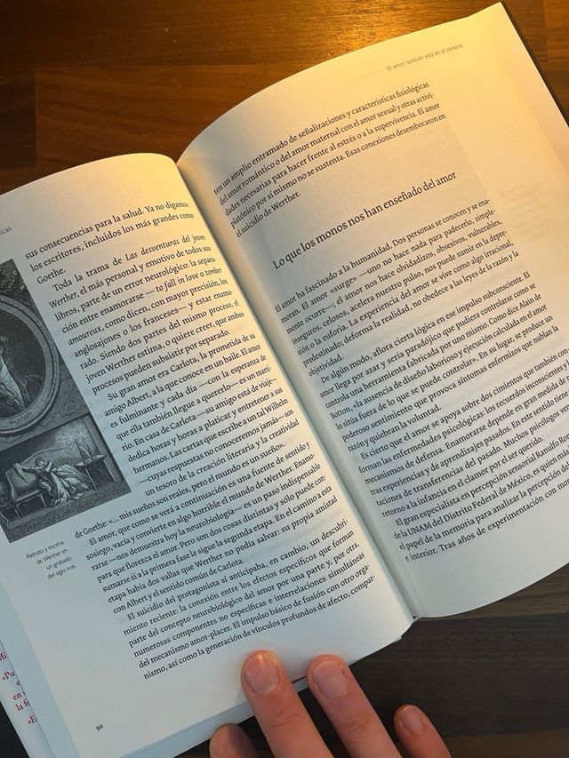 El viaje al amor (Spanish Edition)