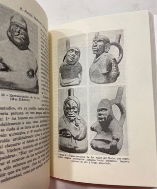 Medicina aborigen americana