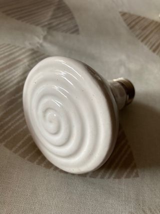 Terrario grande pogona, gecko, tortuga tierra