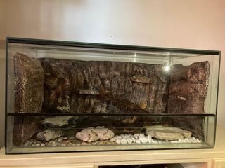 Terrario grande pogona, gecko, tortuga tierra