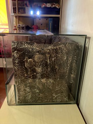 Terrario grande pogona, gecko, tortuga tierra