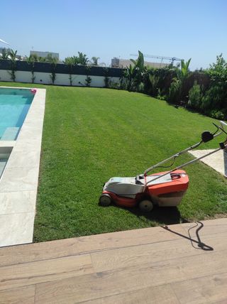 Jardinero profesional