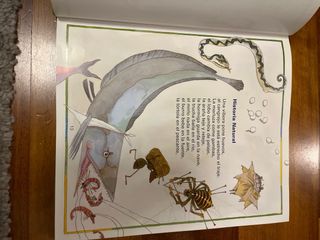 Gloria Fuertes: antología poética