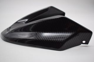 Extensión delantera pico pato en carbono BMW R1200
