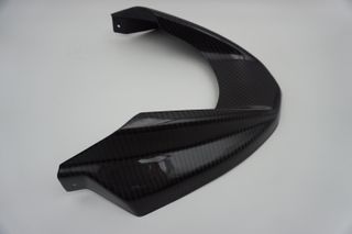Extensión delantera pico pato en carbono BMW R1200
