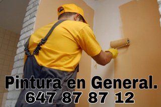 💯 PINTOR PROFESIONAL 647878712