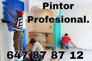 💯 PINTOR PROFESIONAL 647878712