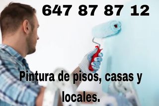 💯 PINTOR PROFESIONAL 647878712