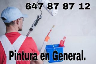 💯 PINTOR PROFESIONAL 647878712