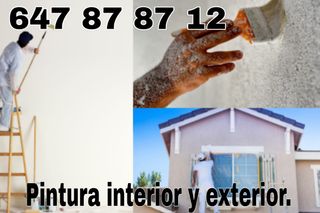 💯 PINTOR PROFESIONAL 647878712