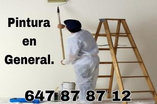 💯 PINTOR PROFESIONAL 647878712