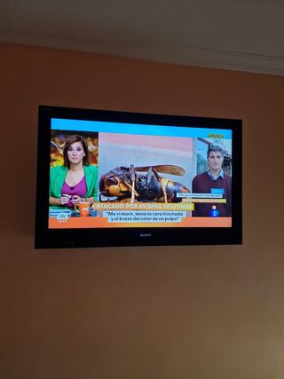 TELEVISOR SONY BRAVIA