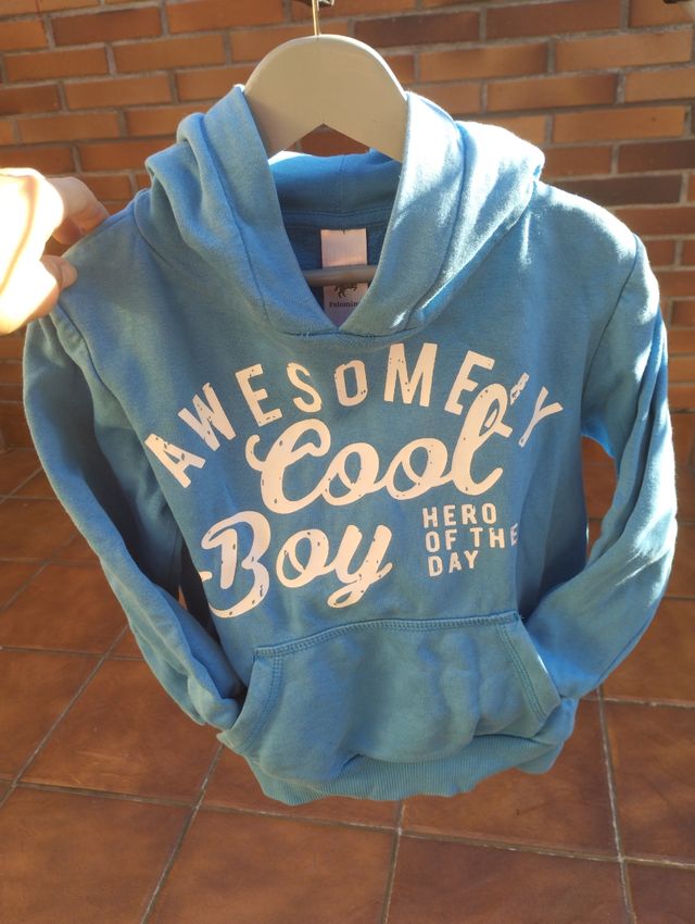 Sudadera niño 6 años de Palomino