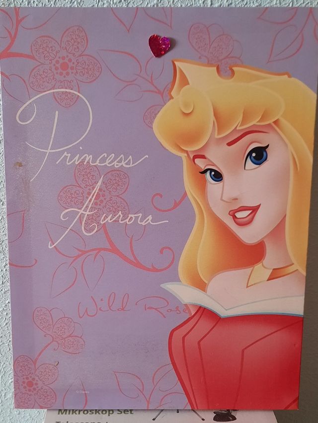 Cuadro de princesa