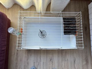 Jaula y trasporting para conejos