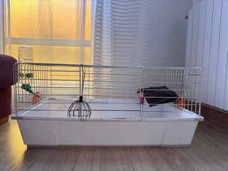 Jaula y trasporting para conejos