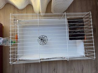 Jaula y trasporting para conejos
