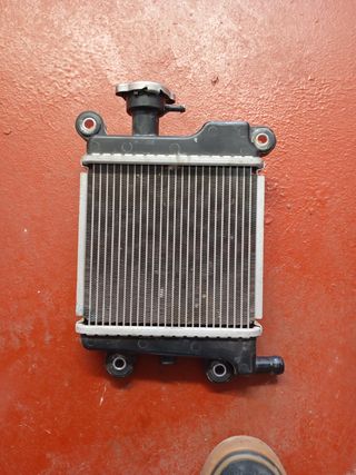 Radiador de agua Yamaha xenter 125