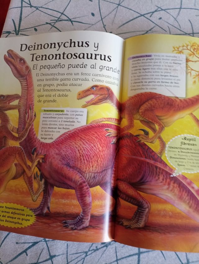 Enciclopedia de dinosaurios: Con el significado de su nombre (Spanish Edition)