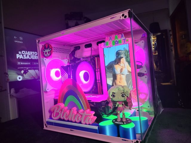 Pc Karol G con Ryzen 5 2600x y pantalla