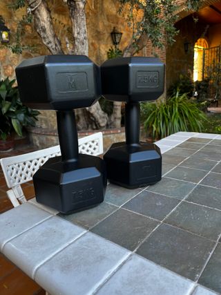 2 pesas de 7,5kg gimnasio peso libre