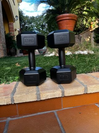 2 pesas de 7,5kg gimnasio peso libre