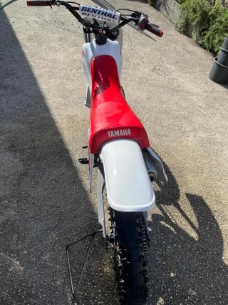 Yz 100 1982