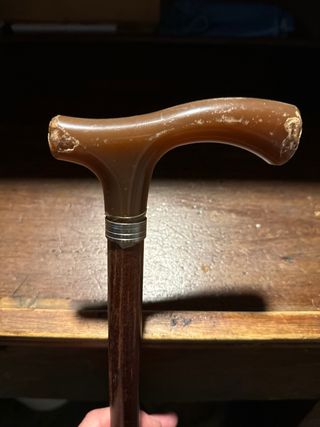 BASTONI DA PASSEGGIO