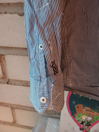 Camisa hombre Springfield L ver medidas