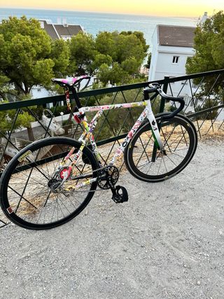 Bicicleta Fixie/Fixed gear