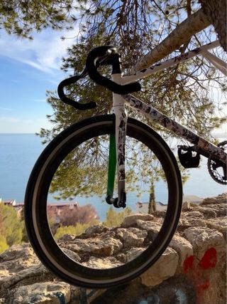 Bicicleta Fixie/Fixed gear