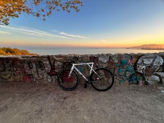 Bicicleta Fixie/Fixed gear