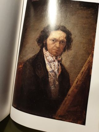Libros de Goya