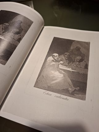 Libros de Goya