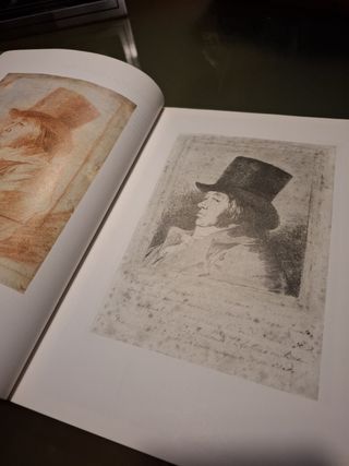 Libros de Goya