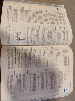 Diccionario de Primaria (Spanish Edition)